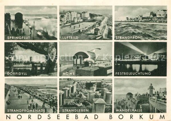 Borkum Springflut Strandfront Doridyll Möwe Wa