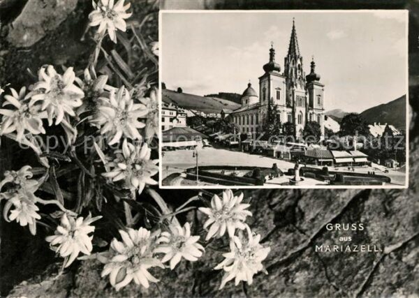 Mariazell Steiermark Kirche Edelweiss