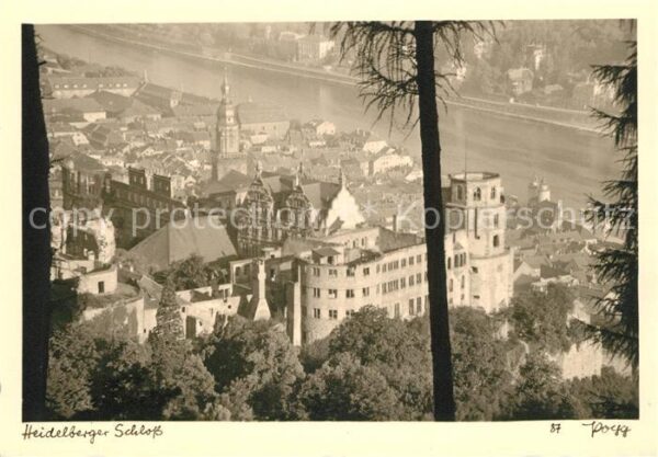 Foto Popp Nr. 87 Heidelberg Schloss