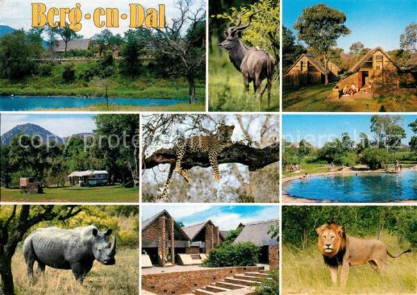 Tiere Berg-En-Dal Kruger National Park Südafr