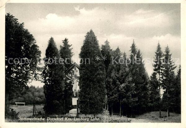 Dorndorf Westerwald Sommerfrische Inri Waldweg