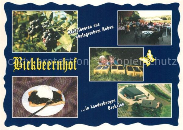 Brokeloh Landesbergen Bickbeernhof