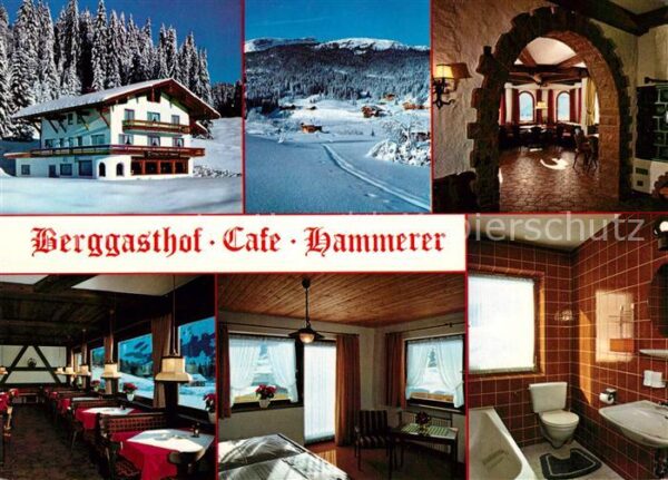Hirschegg Kleinwalsertal Vorarlberg Berggasthof Hammerer