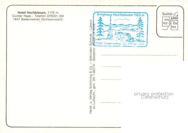 Badenweiler Fliegeraufnahme Hotel Hochblauen – Bild 2