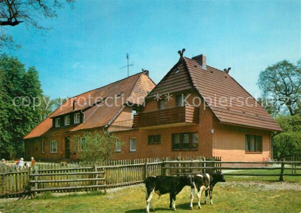 Undeloh Pension Lühr Kühe