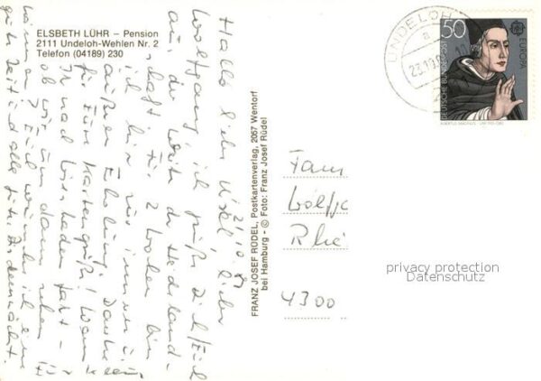 Undeloh Pension Lühr Kühe – Bild 2