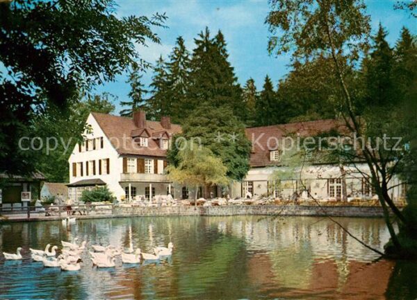 Horn-Bad Meinberg Waldhotel Pension Silbermühle Schwanent