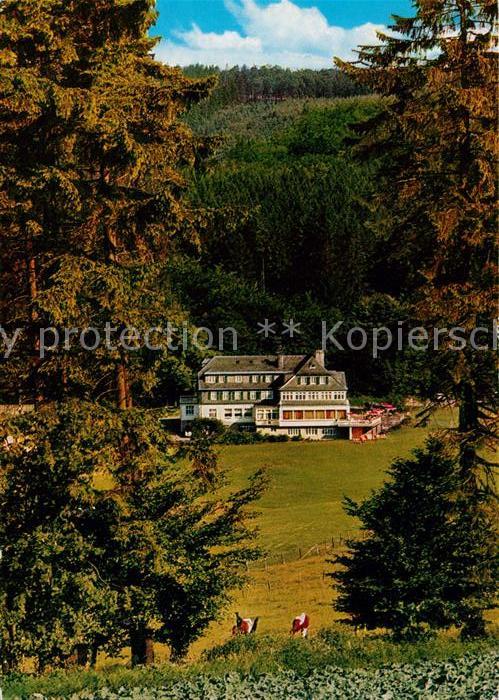 Rimberg Schmallenberg Hotel Pension Knoche Ansicht vom Waldra