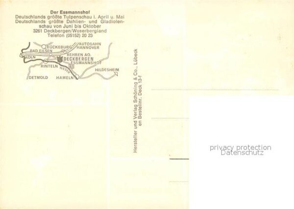 Deckbergen Essmannshof Flamingo Papagei – Bild 2