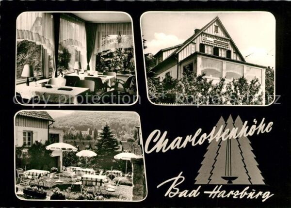 Bad Harzburg Cafe Charlottenhöhe