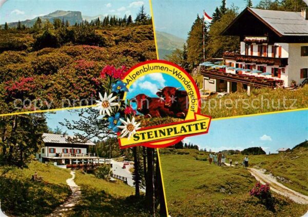 Waidring Tirol Alpengasthof Steinplatte