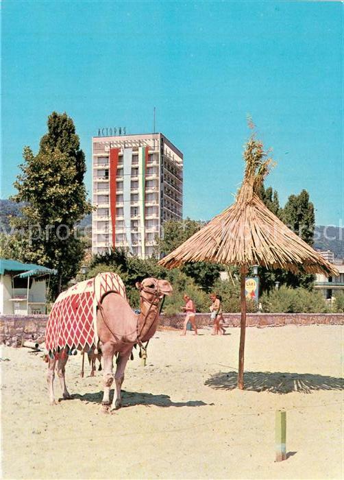 Slatni Pjasazi Hotel Astoria