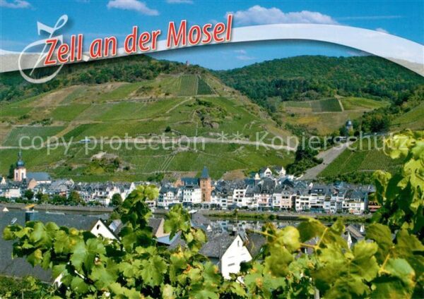 Zell Mosel Panorama Blick über die Mosel Weinberge