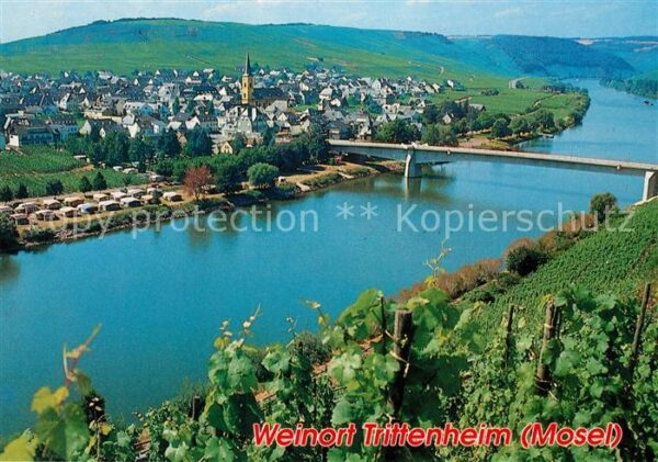 Trittenheim Mosel Panorama Blick von den Weinbergen Mosel
