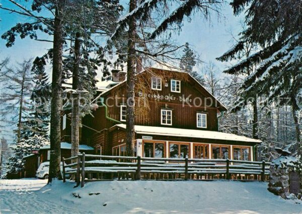 Breitenstein Niederoesterreich Speckbacher Hütte im Winter