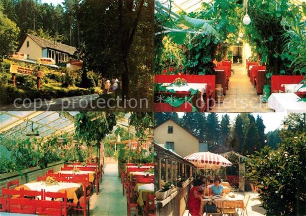 Lorch Wuerttemberg Waldcafe Restaurant Muckensee Terrasse