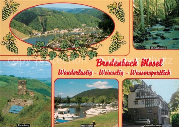 Brodenbach Landschaftspanorama Moseltal Ehrbachkla