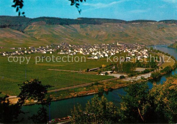Kroev Mosel Panorama Weinstadt des Kröver Nacktarsc