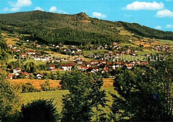 Bodenmais Panorama Luftkurort am Fusse des Arbers