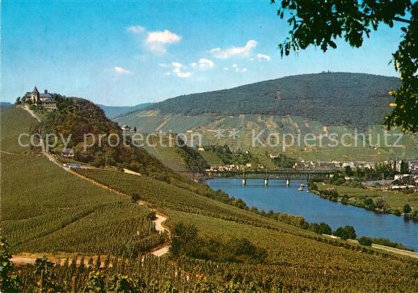 Alf Mosel Landschaftspanorama mit Marienburg Wein