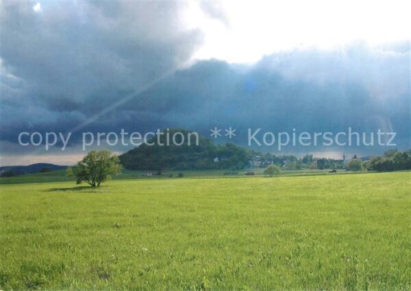 Wittlich Panorama