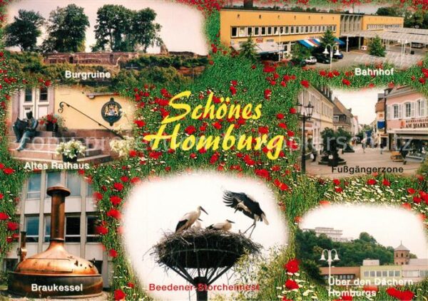 Bad Homburg Burgruine Altes Rathaus Braukessel Beed