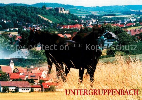 Untergruppenbach Stadtpanorama Pferde