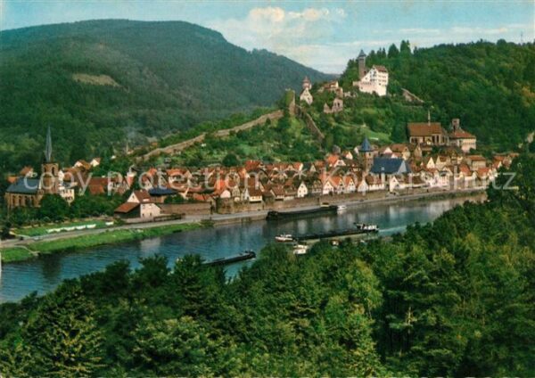 Hirschhorn Neckar Panorama Blick über den Neckar mit Schl