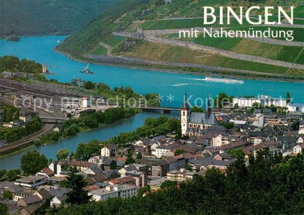 Bingen Rhein Panorama Nahemündung