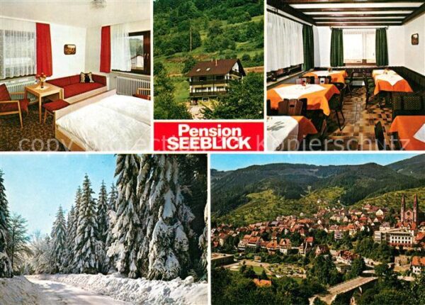 Forbach Baden Stadtpanorama Pension Seeblick Waldpart