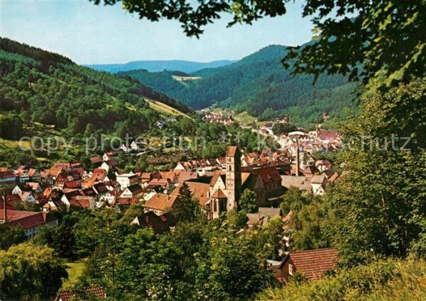 Alpirsbach Panorama Luftkurort Wintersportplatz im