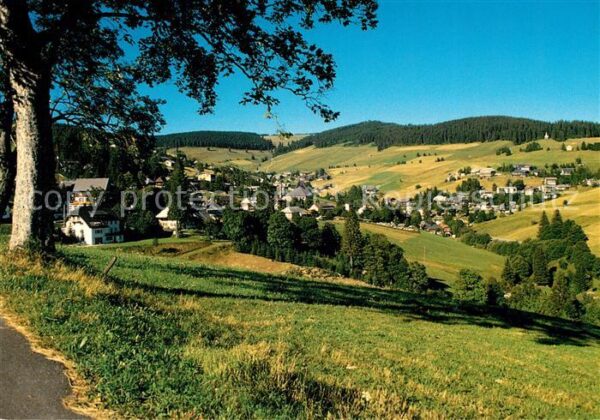Todtnauberg