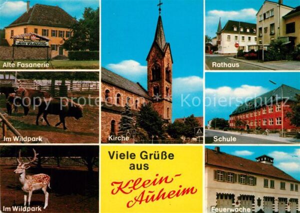 Klein-Auheim Alte Fananerie Wildpark Büffel Hirsche