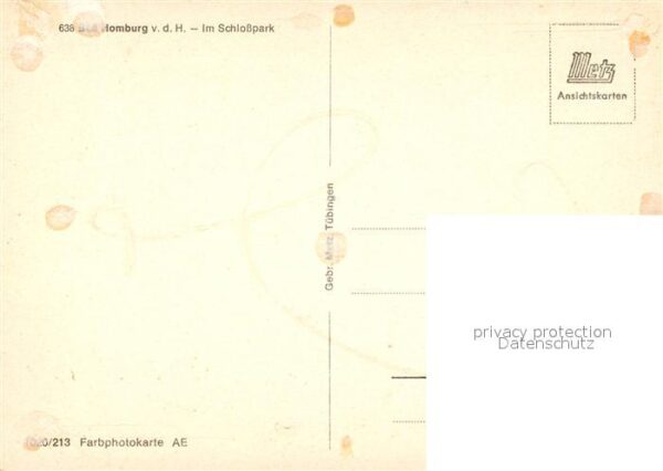 Bad Homburg Schlosspark – Bild 2