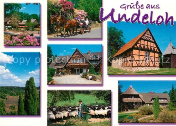 Undeloh Kutsche Schäfer Fachwerk