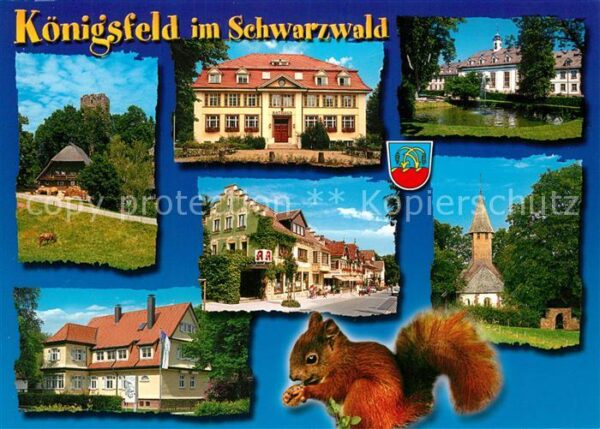 Koenigsfeld Schwarzwald Ortsansichten Eichhörnchen