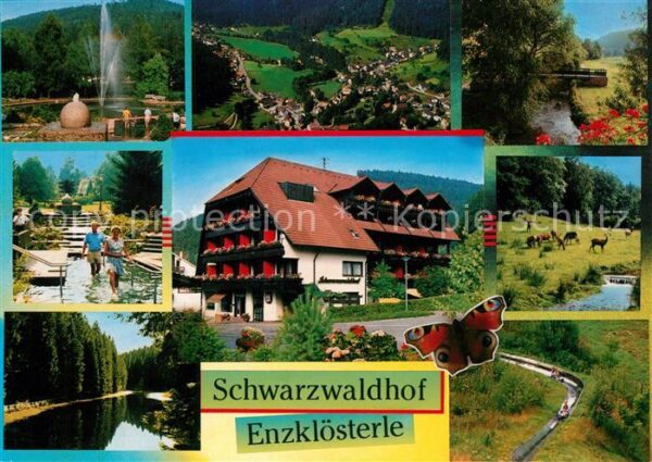 Enzkloesterle Schwarzwaldhof Rodelbahn Kneippanlage
