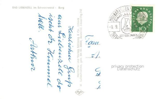 Bad Liebenzell Burg Fliegeraufnahme – Bild 2