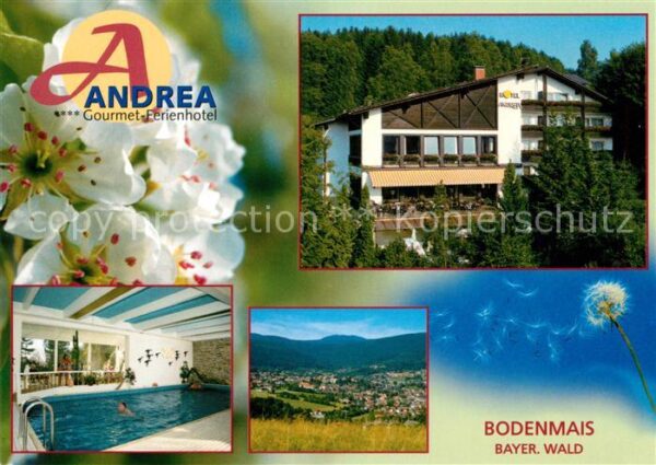 Bodenmais Andrea Gourmet Ferienhotel Hallenbad La