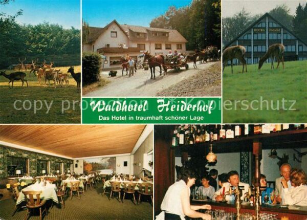 Obersteinebach Hotel Pension Waldhotel Heiderhof Resta
