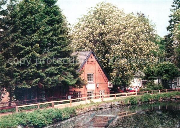 Farchau Ratzeburg Gaststätte Pension Farchauer Mühle Baum