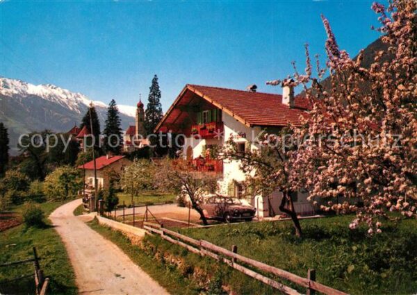 Partschins Parcines Garni Haus Bergblick Baumblüte