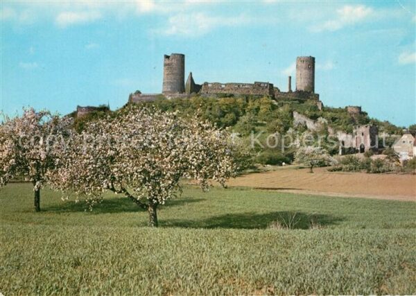 Muenzenberg Baumblüte Burgruine