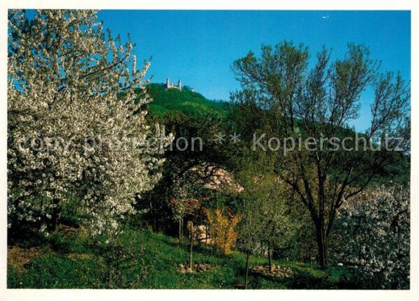 Zwingenberg Neckar Schlossruine im Odenwald
