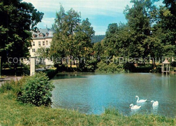 Waechtersbach Schlossteich Schwäne