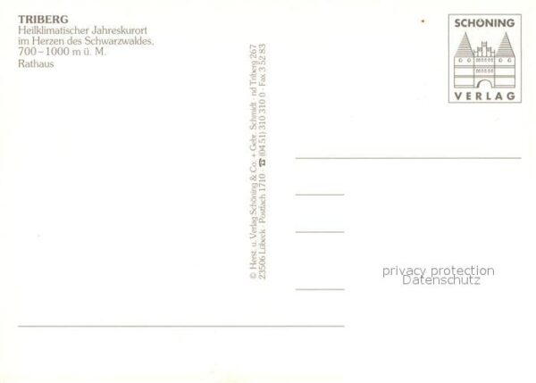 Triberg Schwarzwald Rathaus Ratssaal Chronik – Bild 2