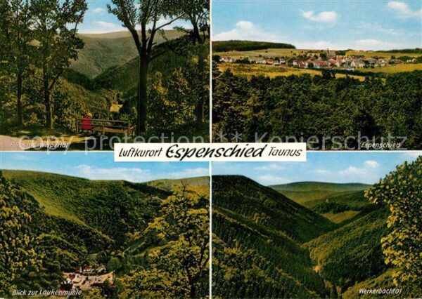 Espenschied Wispertal Panorama Laukenmühle Werkerba