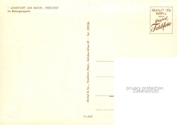 Hoechst Main Bolongaropark – Bild 2
