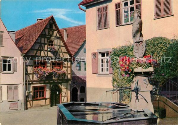 Marbach Neckar Schillers Geburtshaus Wilder Mann Brunn
