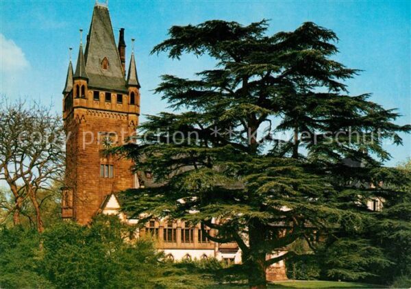 Weinheim Bergstrasse Schloss Park Historische Weinstadt